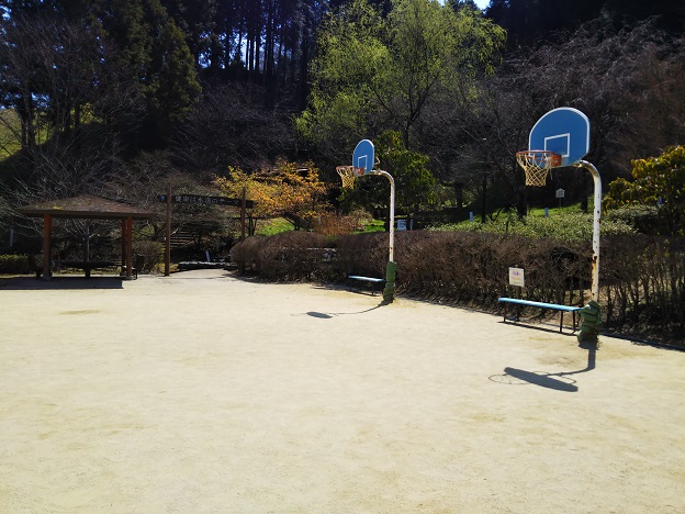 玉川総合公園　バスケットゴール