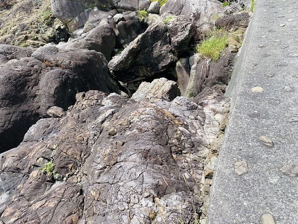 室戸岬　マグマでやけどした岩