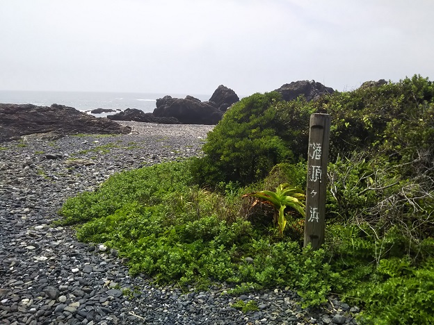 室戸岬　海岸
