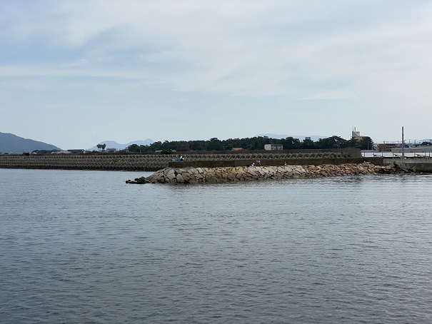 豊浜港向かい側の防波堤