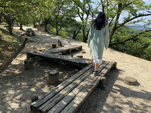 種松山公園西園地　松の木渡り