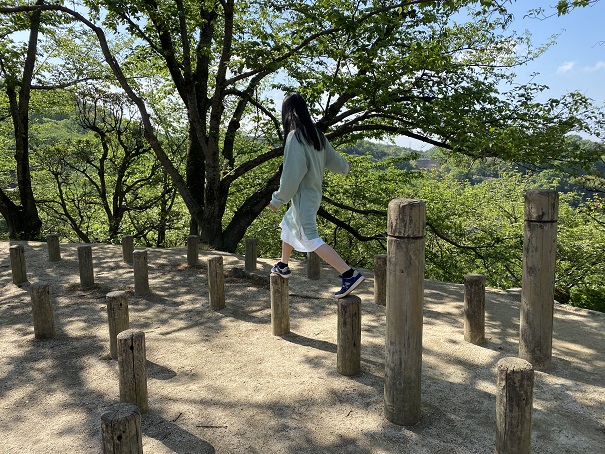 種松山公園西園地　冒険の森　真弓池渡りやってみた