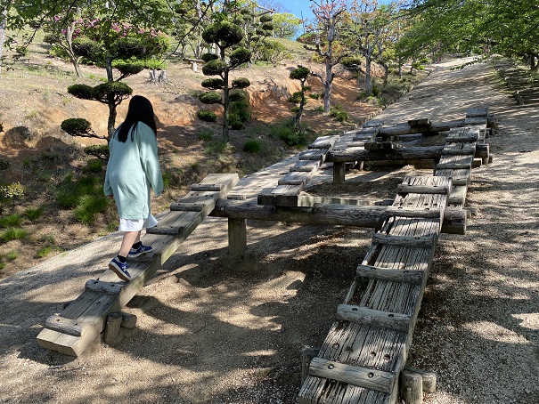 種松山公園西園地　冒険の森　斜め歩き