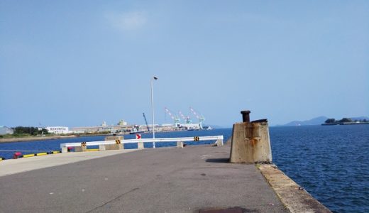 丸亀港の児島競艇場行き船乗り場跡地北側でサビキ釣り 丸亀市