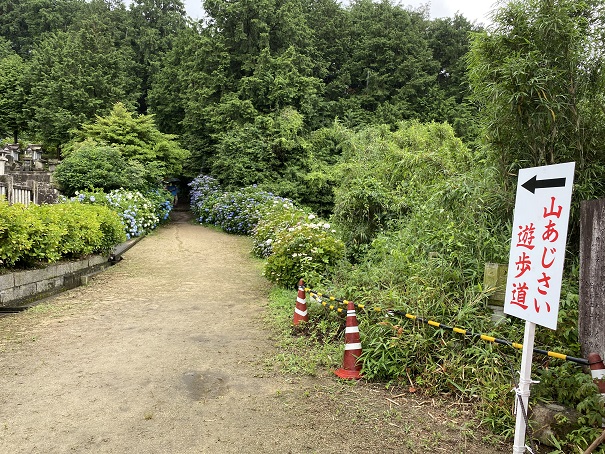 粟井神社　あじさい遊歩道