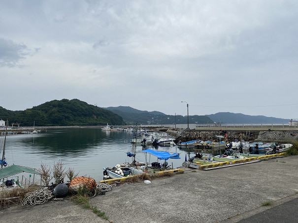 小田浦漁港の船