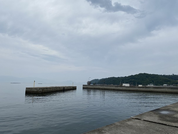 小田浦漁港の釣り場