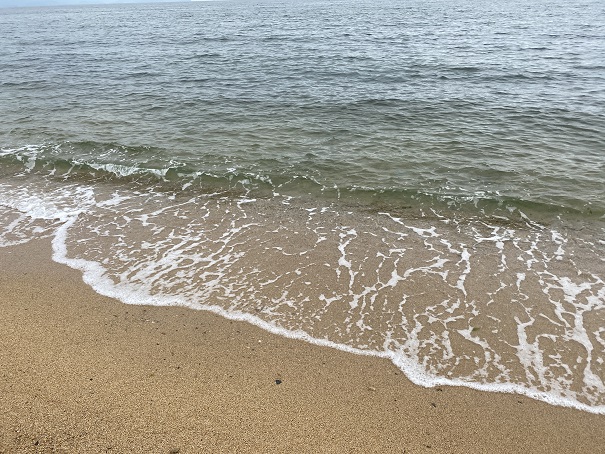 横内海岸海水の透明度