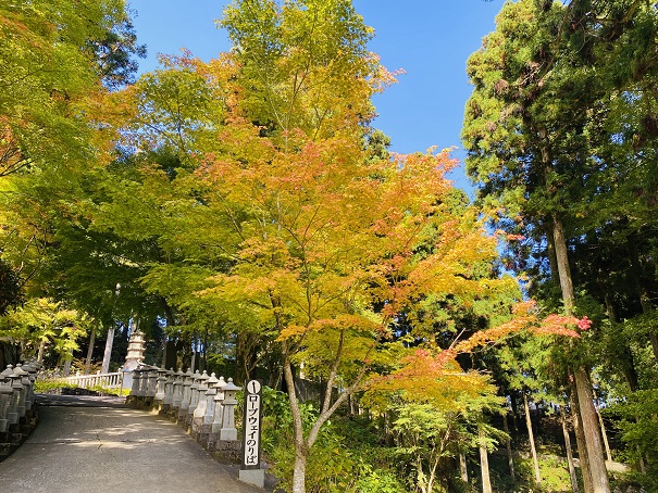 雲辺寺境内の秋の紅葉