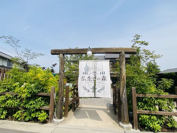 仏生山の森