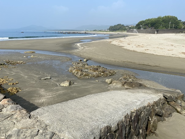 浮津海水浴場　磯遊び