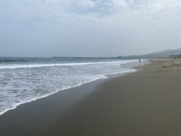 入野海岸と太平洋