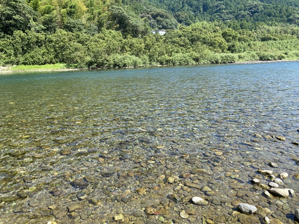 本村キャンプ場　仁淀川の水質