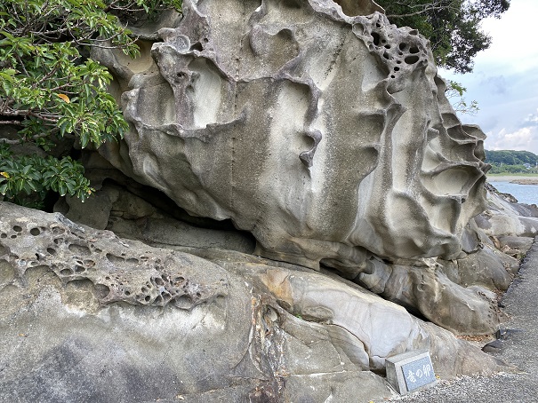 化石蓮痕　竜のたまご