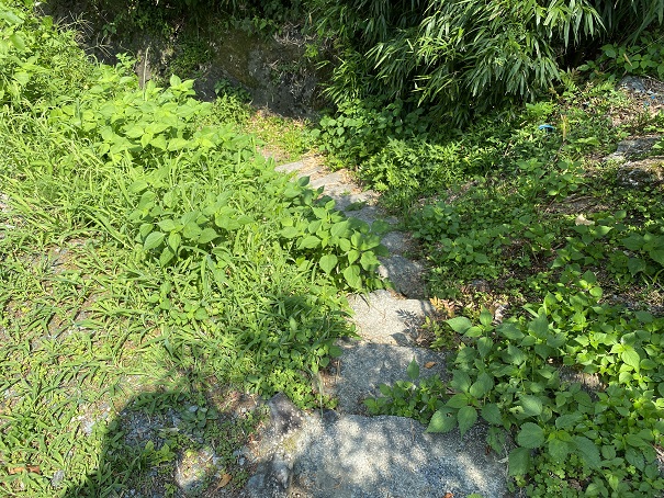 ふれあいの里なめかわ　奥の川へ降りる道