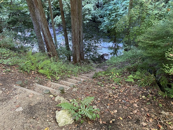 ふれあいの森森林館　木地川へ階段