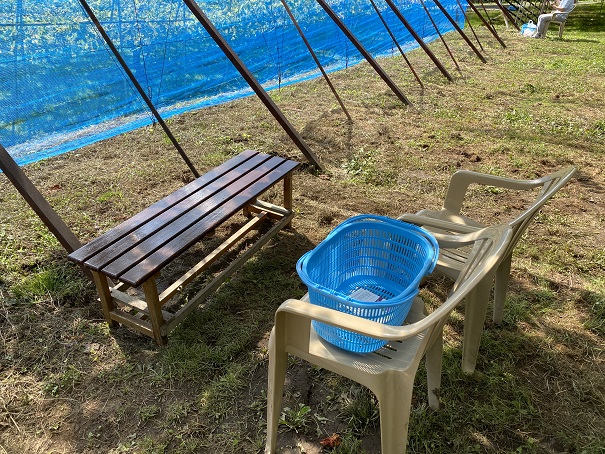 竹森ガーデン　ブドウ園椅子