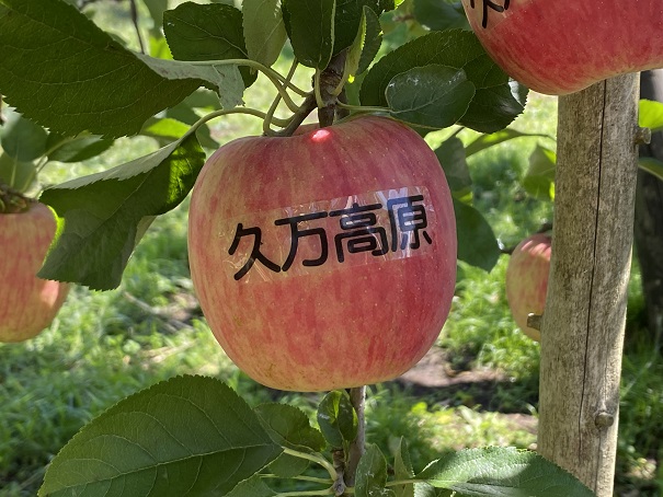 正岡観光りんご園　りんご