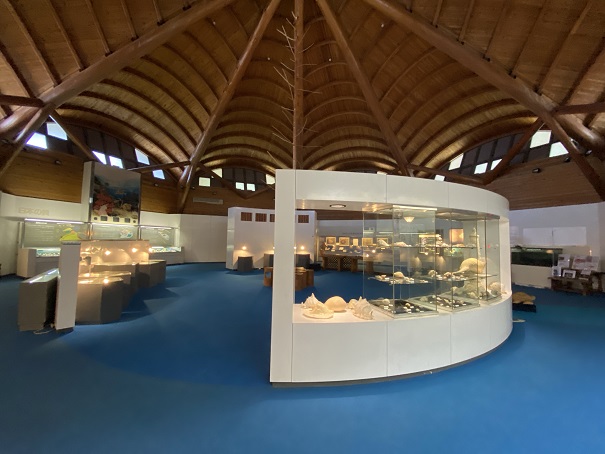 モラスコむぎ　貝の資料館