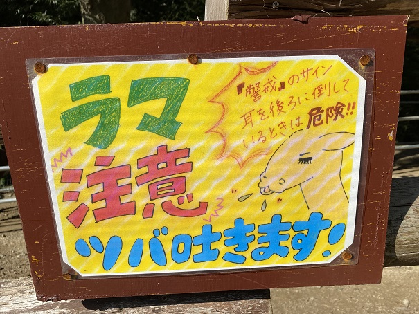 しろとり動物園　ラマ注意