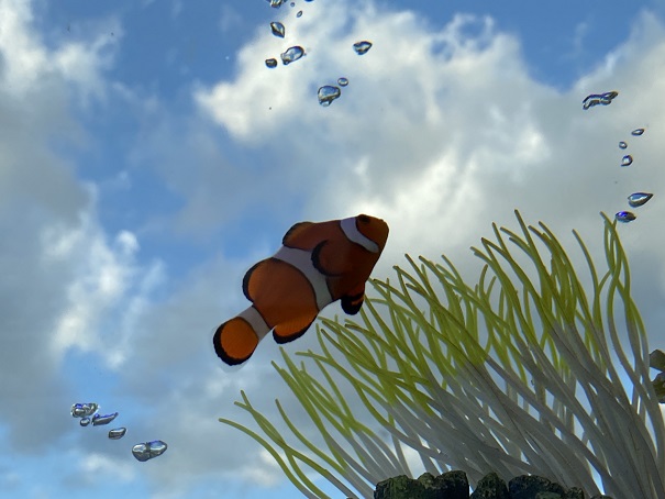 空を泳ぐカクレクマノミ