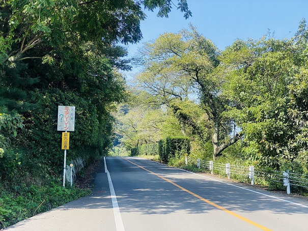 屋島ドライブウェイ