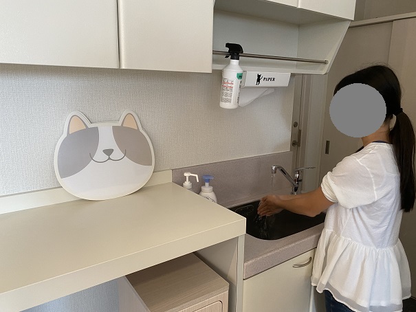 Cat Living NANA(キャットリビングナナ)手洗い