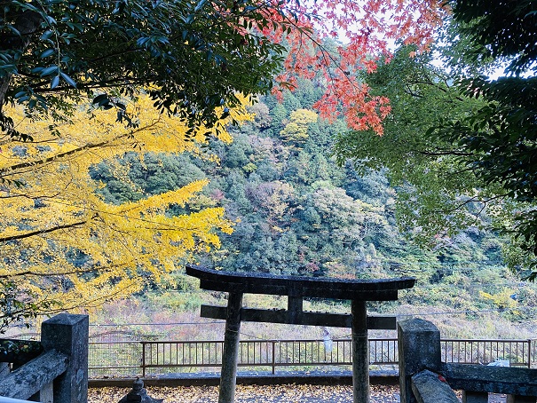 棒賀神社　上からの景色