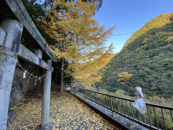 棒賀神社　ライトアップ