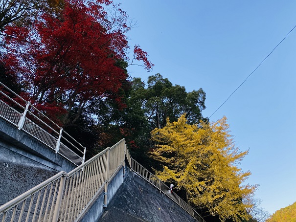 棒賀神社　階段