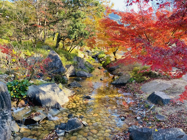 香川用水記念公園　小川と紅葉