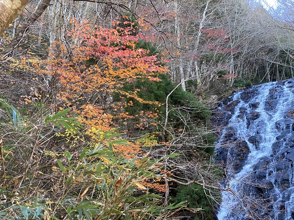 布滝と紅葉