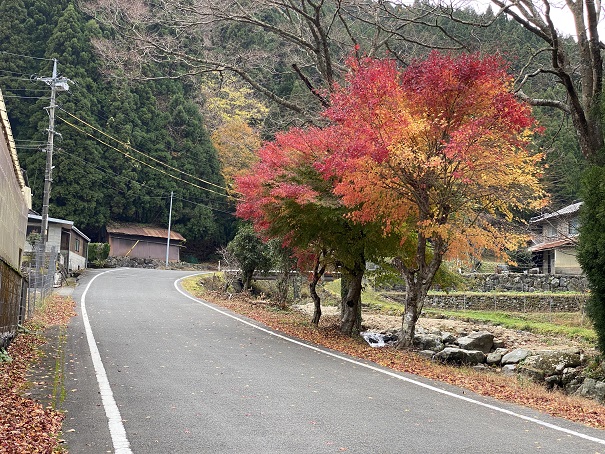 トムソーヤ冒険村　紅葉