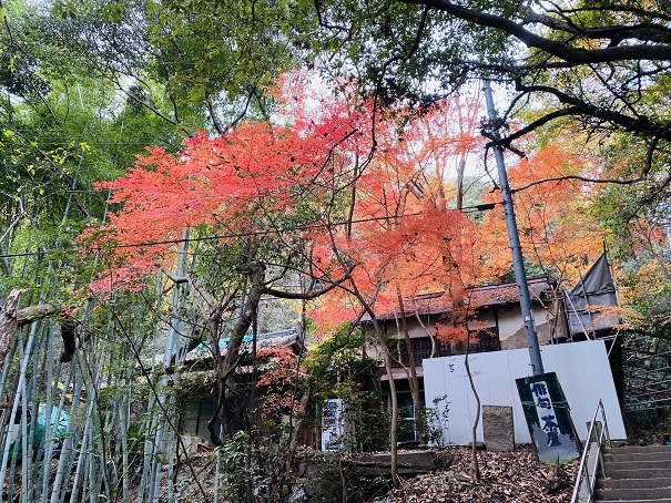 弥谷寺俳句茶屋と紅葉