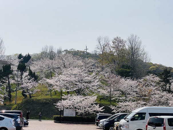 県立桃陵公園　ふれあい広場広場