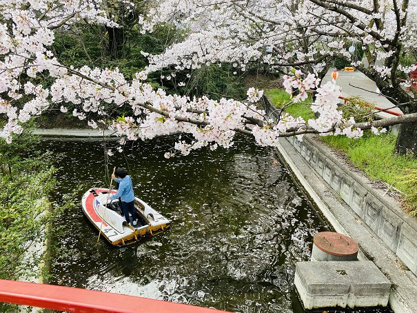 朝日山森林公園　ボート2
