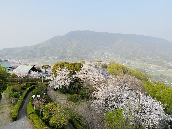 朝日山森林公園　展望台からの景色2