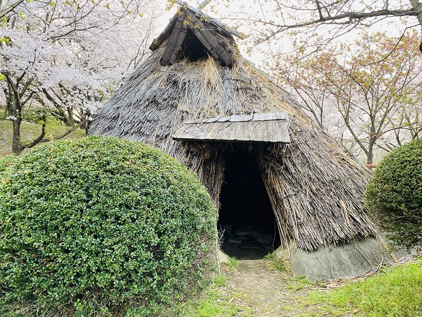 朝日山森林公園　竪穴式住居