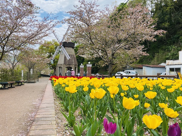 デ・レイケ公園　チューリップと風車