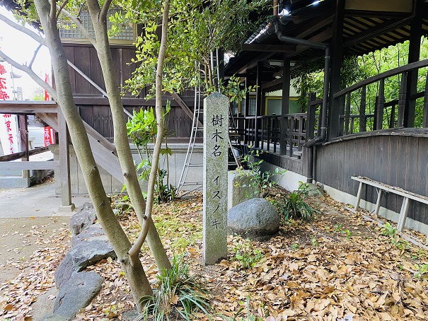 岩田神社　イスノキ石碑