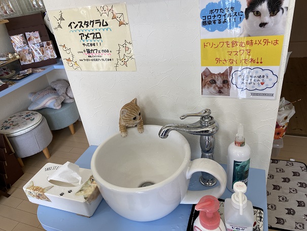 猫カフェｎｏａ　手洗い