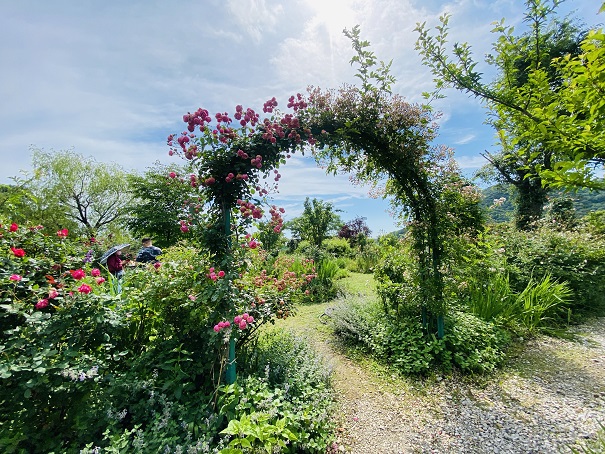 モネの庭　花の庭　バラのアーチ門