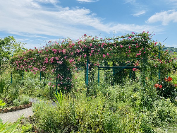 モネの庭　花の庭　バラの棚