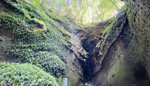 伊尾木洞とシダ群落 神秘の洞窟と幻想的な世界 天然記念物 安芸市