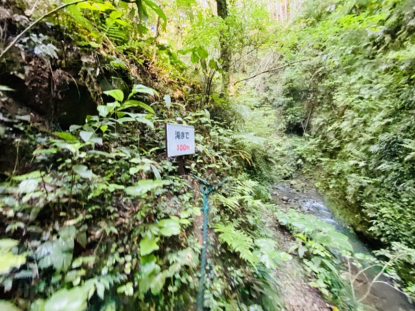 伊尾木洞　滝まで１００m