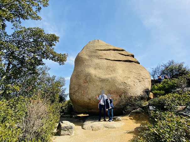ニコニコ岩の大きさ