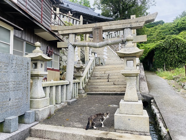 青島　青島神社