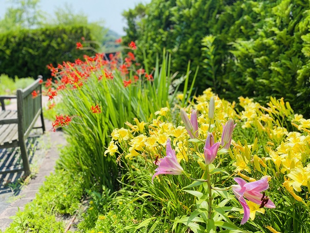 深山イギリス庭園　暖色の庭の花