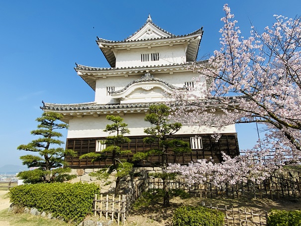 香川県のおすすめ桜の花見スポットと名所