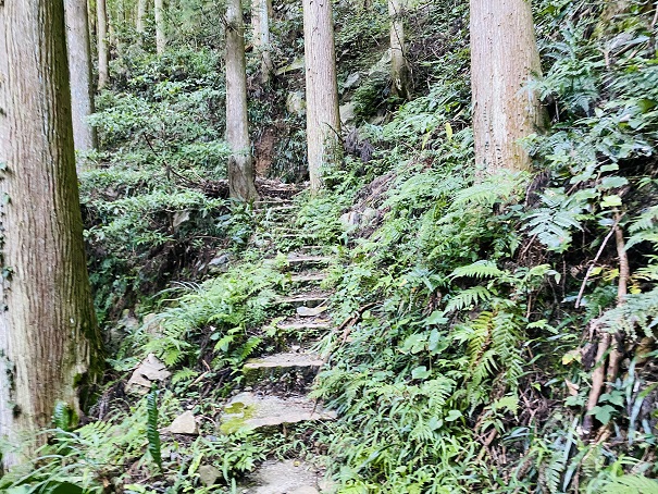 薬師谷渓谷　遊歩道階段